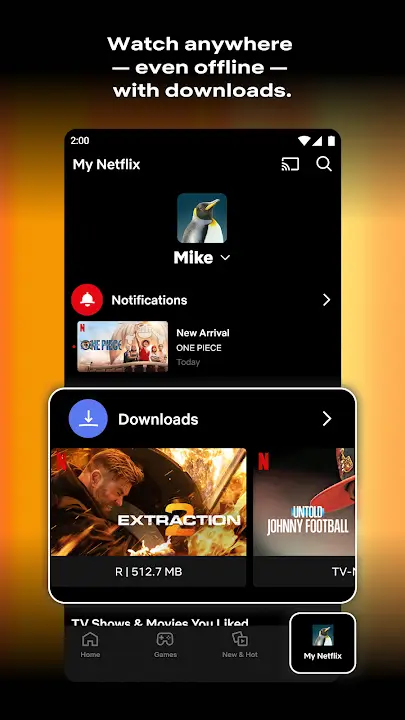 Netflix MOD APK